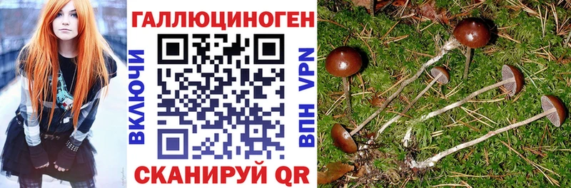 Псилоцибиновые грибы GOLDEN TEACHER  Невинномысск 