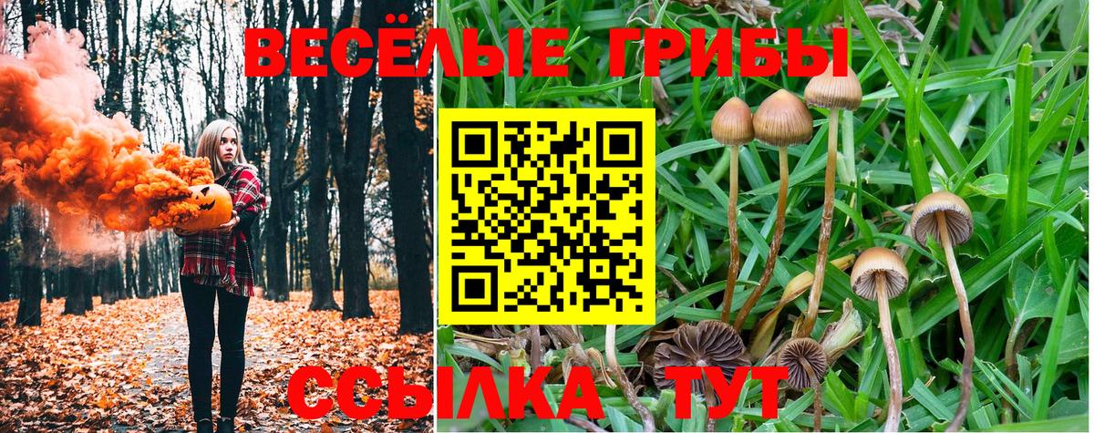 Псилоцибиновые грибы прущие грибы  Вход с VPN  Галлюциногенные грибы Psilocybine cubensis  Невинномысск 